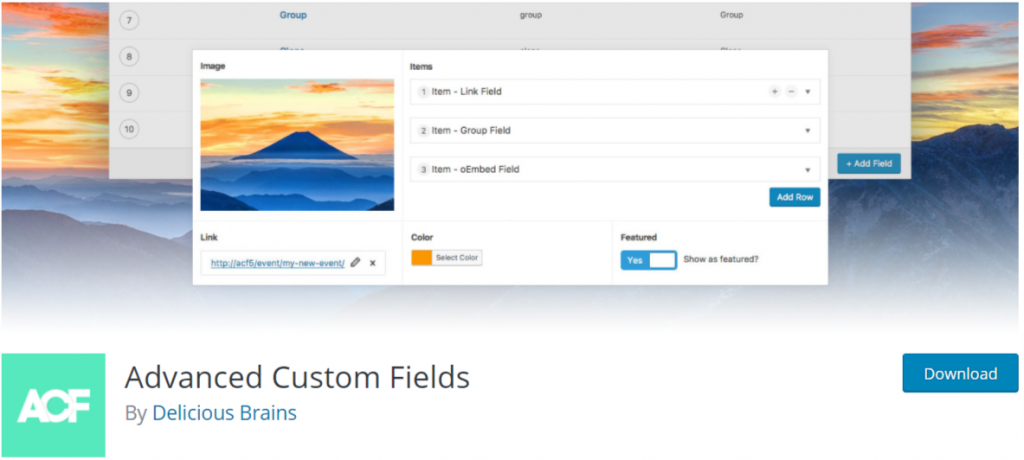 Advanced Custom Fields