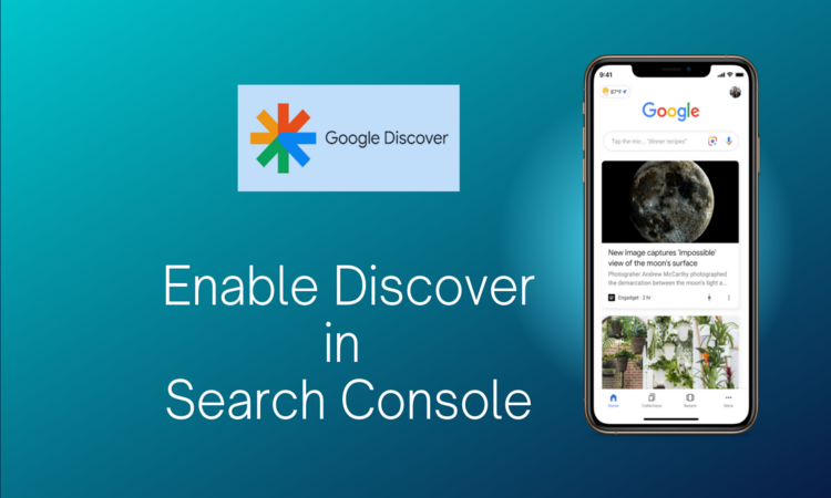 enable discover in search console